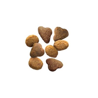 Image showing  Adult Indoor/Outdoor High-Protein Salmon and Rice Formula Dry Cat Food with Probiotics