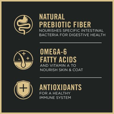 Image showing 7 th Purina Pro Plan Adult Indoor/Outdoor High-Protein Salmon and Rice Formula Dry Cat Food with Probiotics