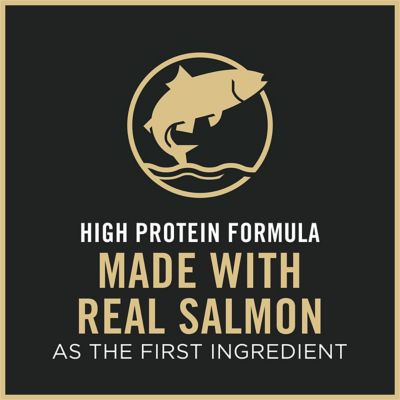 Image showing 8 th Purina Pro Plan Adult Indoor/Outdoor High-Protein Salmon and Rice Formula Dry Cat Food with Probiotics