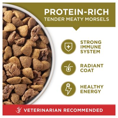 Image showing  SmartBlend Adult Natural Lamb and Rice Formula Dry Dog Food