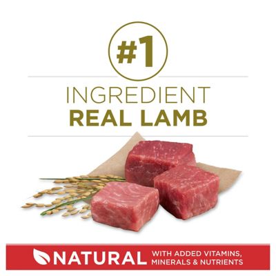 Image showing  SmartBlend Adult Natural Lamb and Rice Formula Dry Dog Food