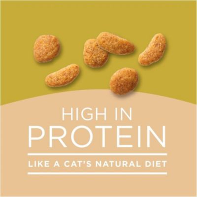Image showing 5 th Purina Cat Chow Naturals Chicken & Salmon Original Dry Cat Food