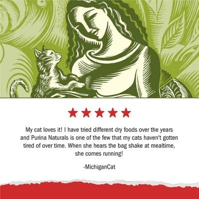 Image showing 6 th Purina Cat Chow Naturals Chicken & Salmon Original Dry Cat Food