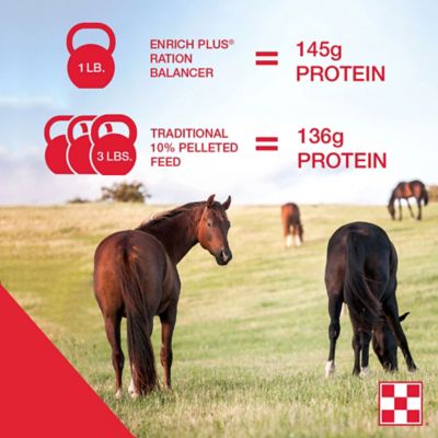 Image showing  Enrich Plus Ration Balancing Horse Feed, 50 lb. Bag