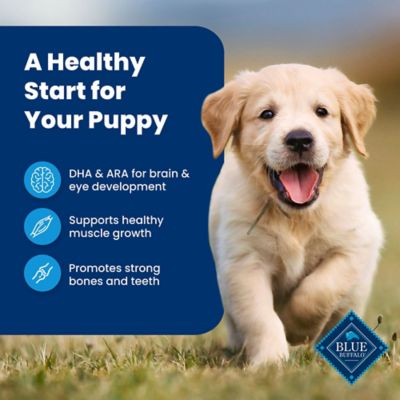 Image showing  Puppy Chicken and Brown Rice Recipe Dry Dog Food