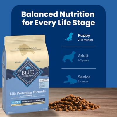 Image showing 7 th Blue Buffalo Life Protection Puppy Chicken and Brown Rice Recipe Dry Dog Food