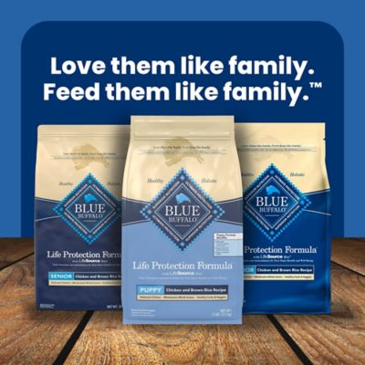Image showing 8 th Blue Buffalo Life Protection Puppy Chicken and Brown Rice Recipe Dry Dog Food