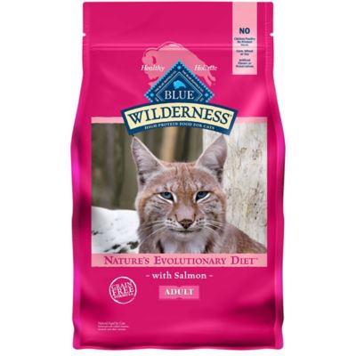 Blue Buffalo Wilderness Natural Adult Indoor High-Protein Grain-Free Salmon Recipe Dry Cat Food