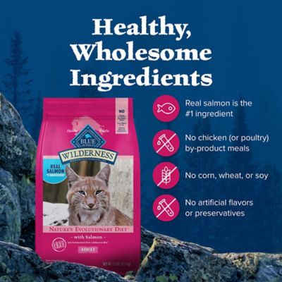 Image showing 5 th Blue Buffalo Wilderness Natural Adult Indoor High-Protein Grain-Free Salmon Recipe Dry Cat Food
