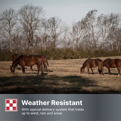 Image showing 6 th Purina Free Balance 12:12 Vitamin and Mineral Horse Supplement, 25 lb. Bag