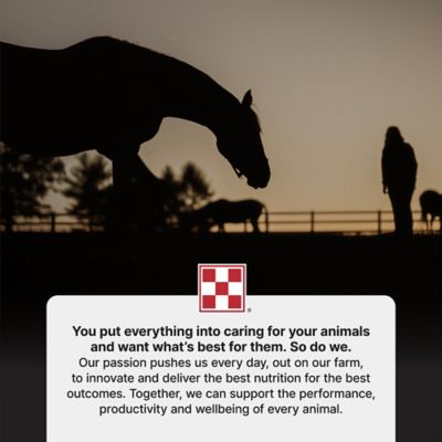 Image showing 9 th Purina Free Balance 12:12 Vitamin and Mineral Horse Supplement, 25 lb. Bag