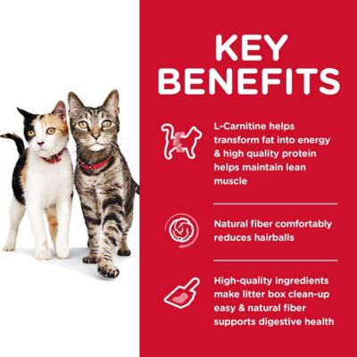 Image showing  Adult Multiple Benefit Chicken Recipe Dry Cat Food
