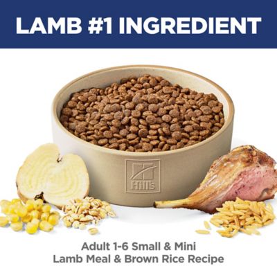 Image showing  Small and Mini Breed Adult Lamb Meal and Brown Rice Recipe Dry Dog Food