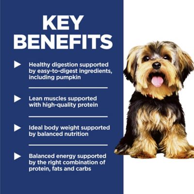 Image showing  Small and Mini Breed Adult Lamb Meal and Brown Rice Recipe Dry Dog Food