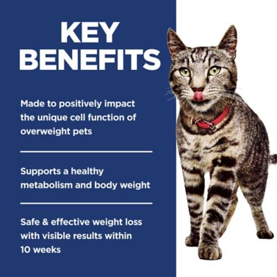 Image showing  Adult Perfect Weight Chicken Recipe Dry Cat Food