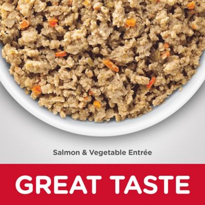 Image showing 6 th Hill's Science Diet Adult Sensitive Stomach and Skin Grain-Free Minced Salmon and Vegetables Recipe Wet Dog Food, 12.8 oz.