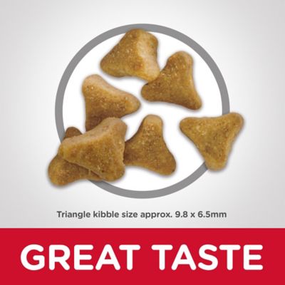 Image showing  Indoor Senior Adult 11+ Chicken Recipe Dry Cat Food