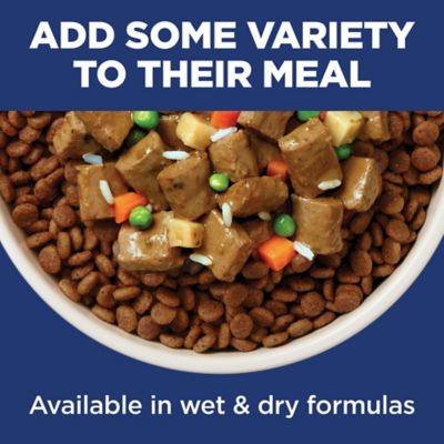 Image showing 8 th Hill's Science Diet Small and Mini Breed Senior Adult 11+ Chicken, Brown Rice and Barley Recipe Dry Dog Food