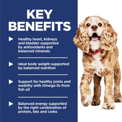 Image showing  Small and Mini Breed Senior Adult 11+ Chicken, Brown Rice and Barley Recipe Dry Dog Food