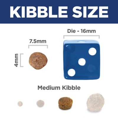 Image showing  Small and Mini Breed Senior Adult 11+ Chicken, Brown Rice and Barley Recipe Dry Dog Food