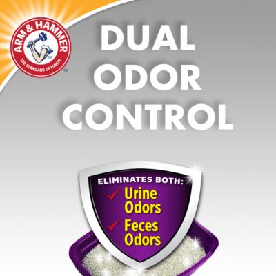 Image showing 6 th Arm & Hammer Double Duty Scented Clumping Clay Cat Litter