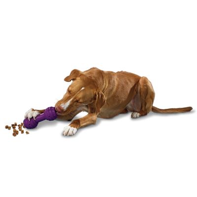 PetSafe Busy Buddy Chuckle Dog Toy, Medium/Large