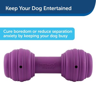 Image showing  Busy Buddy Chuckle Dog Toy, Medium/Large
