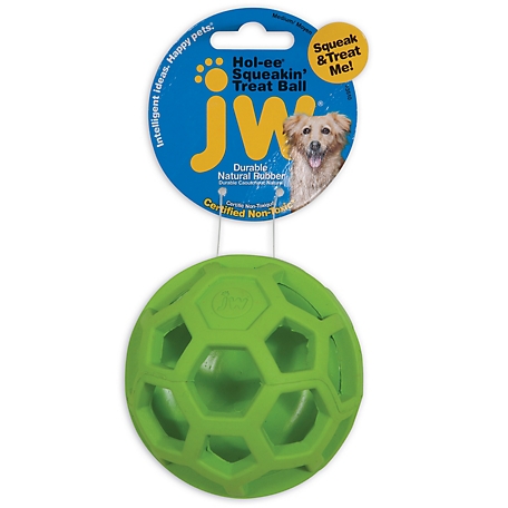 Treat Dispensing Squeaky Ball for Dogs