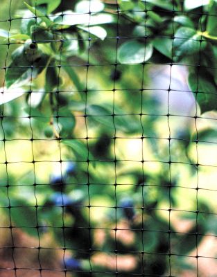 Image showing  7 ft. x 100 ft. Bird Net Protective Wildlife Netting