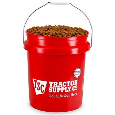 Image showing  5 gal. Plastic Food-Grade Utility Pail, Red