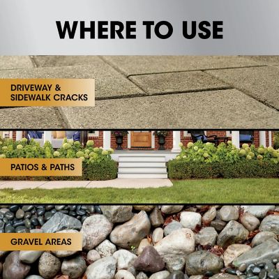 Image showing  32 fl. oz. Dual Action 365 Weed & Grass Killer Plus 12 Month Preventer Concentrate