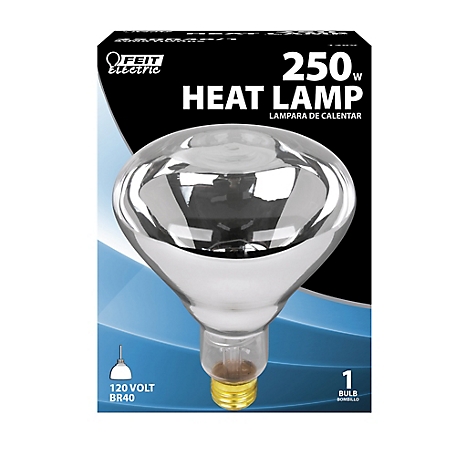 Feit Electric 250W Incandescent R40 Clear Heat Lamp Reflector
