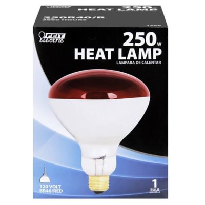 Red Heat Lamp Reflector 250r40, How Many Watts To Run A Heat Lamp