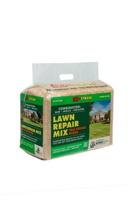 Image showing  11 lb. 200 sq. ft. Lawn Repair Tall Fescue Grass Seed Mix