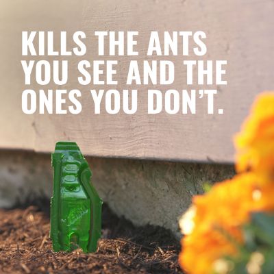 Image showing  Outdoor Liquid Ant Bait Stakes, 8-Pack