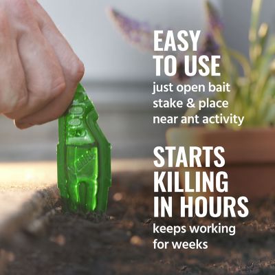 Image showing  Outdoor Liquid Ant Bait Stakes, 8-Pack