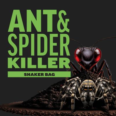 Image showing  3 lb. Ant and Spider Killer Granules