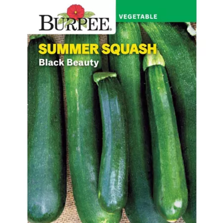 Burpee Black Beauty Squash Seeds Vegetable Seeds