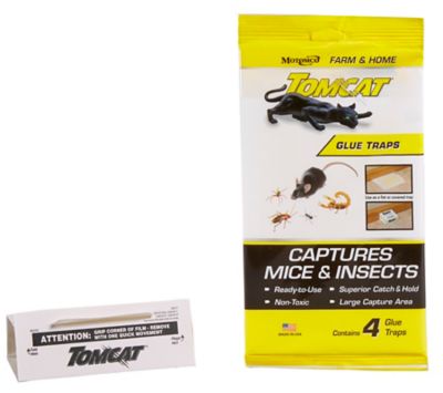 Tomcat Rodent and Insect Glue Traps, 4-Pack