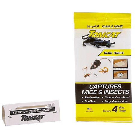 Tomcat Rodent and Insect Glue Traps, 4 pk.