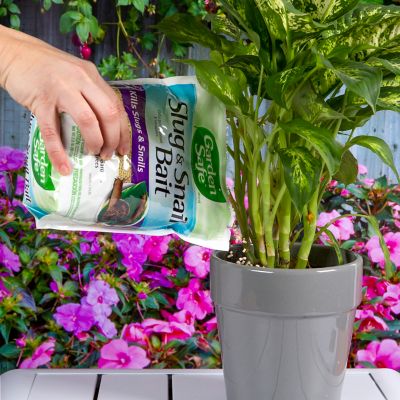 Image showing  2 lb. Slug and Snail Bait Granules