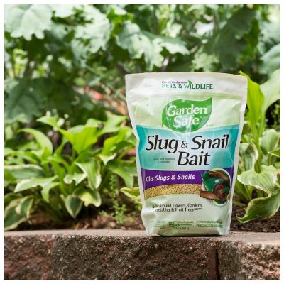 Image showing  2 lb. Slug and Snail Bait Granules