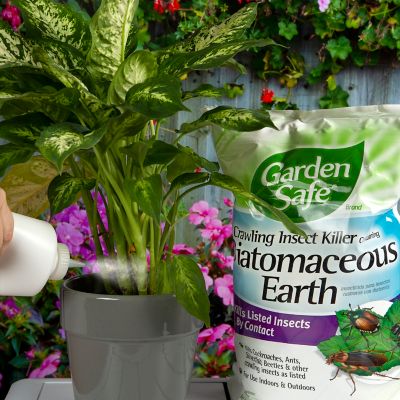 Image showing  4 lb. Crawling Insect Killer with Diatomaceous Earth