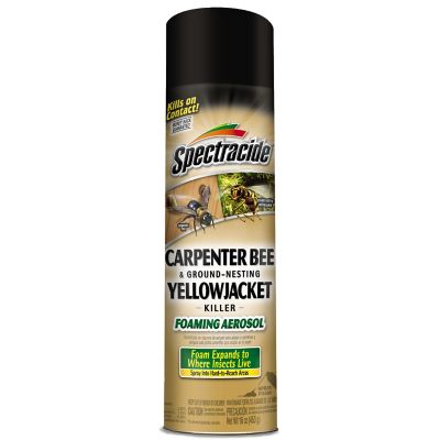 Spectracide 16 oz. Carpenter Bee and Ground-Nesting Yellowjacket Killer Foaming Aerosol