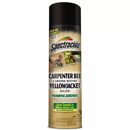 Spectracide 16 oz Foaming spray kills carpenter bees and ground-nesting yellow wasps Insecticides