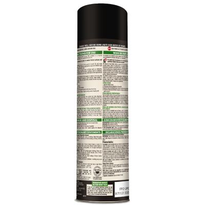 Image showing  16 oz. Carpenter Bee and Ground-Nesting Yellowjacket Killer Foaming Aerosol