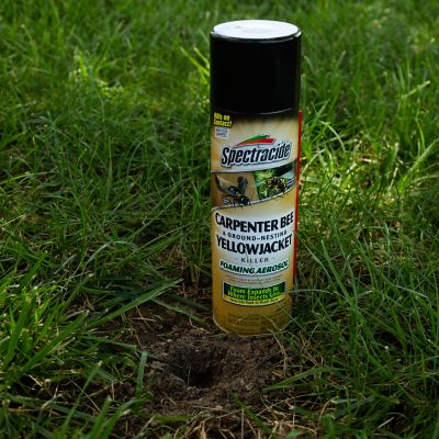 Image showing  16 oz. Carpenter Bee and Ground-Nesting Yellowjacket Killer Foaming Aerosol