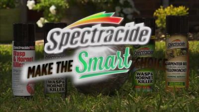 Image showing  16 oz. Carpenter Bee and Ground-Nesting Yellowjacket Killer Foaming Aerosol