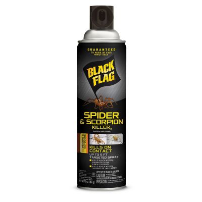 Black Flag 16 oz. Spider and Scorpion Killer Spray