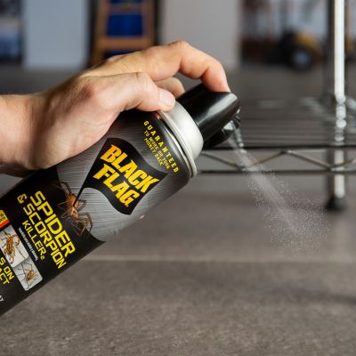 Image showing  16 oz. Spider and Scorpion Killer Spray